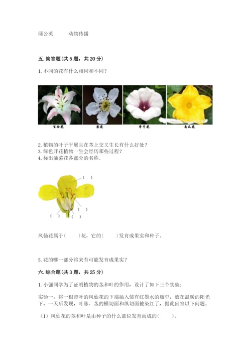 科学四年级下册第一单元植物的生长变化测试卷精品（考试直接用）.docx