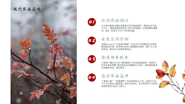 瓷青色简约风寒露节气PPT模版