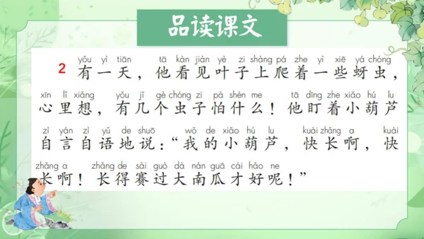 14.《我要的是葫芦》第2课时 课件