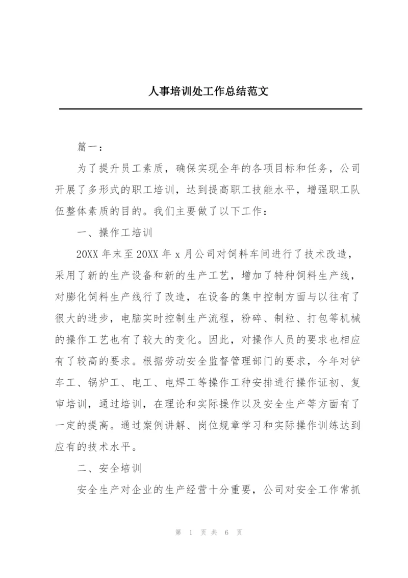 人事培训处工作总结范文.docx