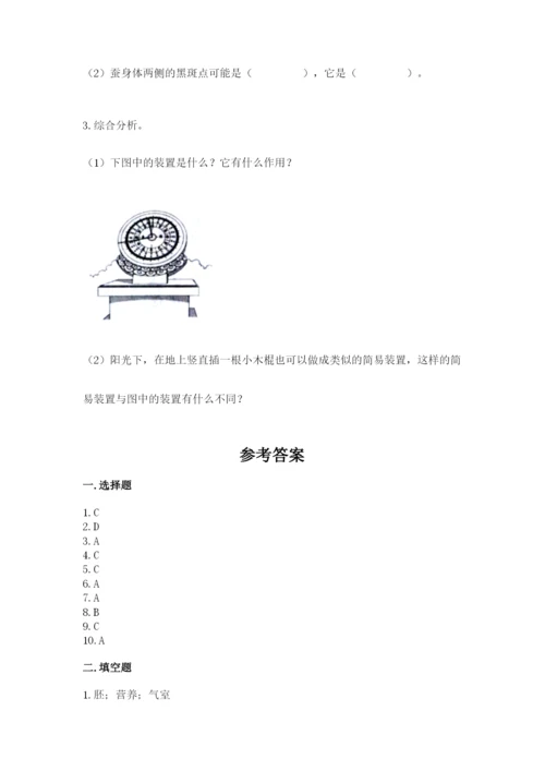 教科版科学三年级下册 期末测试卷ab卷.docx