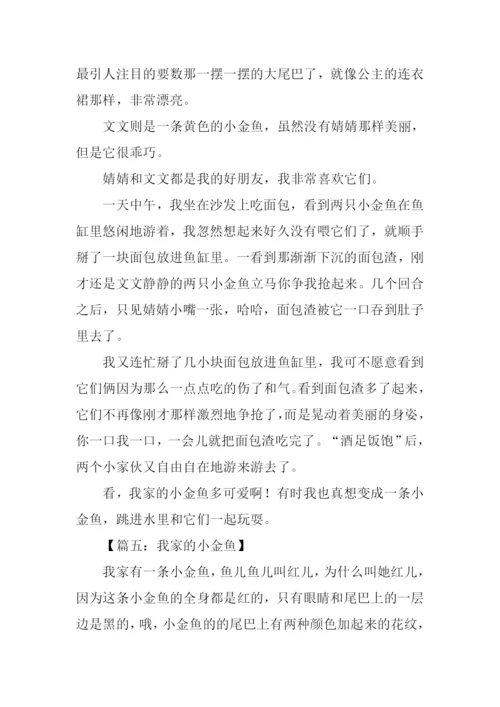 我家的小金鱼作文350字.docx