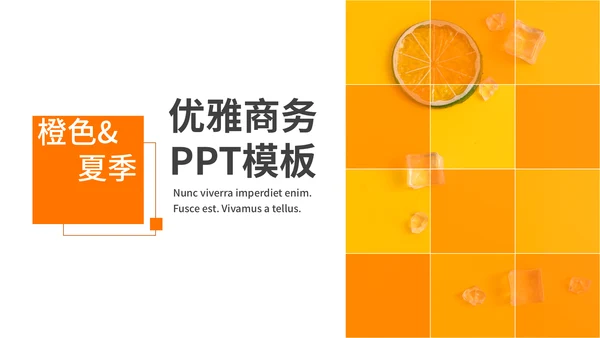 橙色夏季风优雅商务工作汇报通用PPT模板