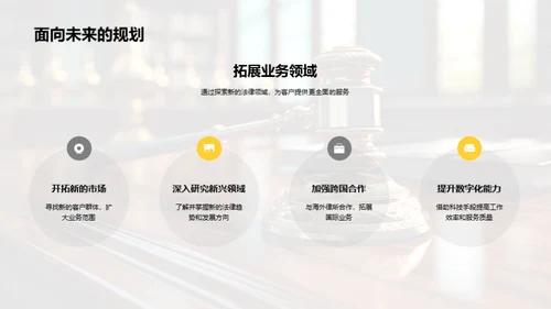 法律领域年度总结