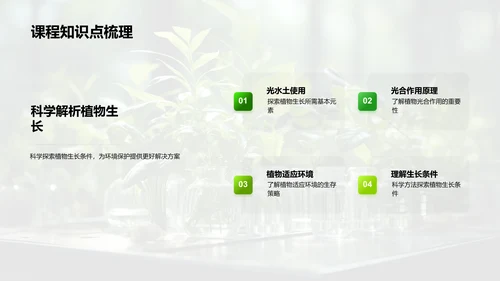 探秘植物生长