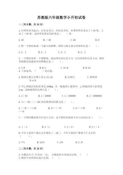 苏教版六年级数学小升初试卷ab卷.docx