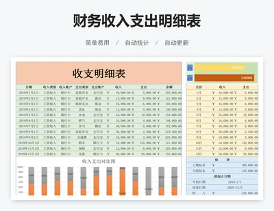 财务收入支出明细表