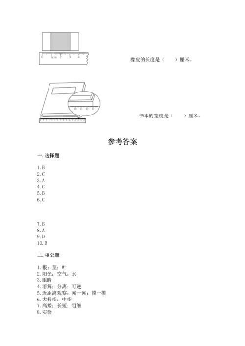 教科版科学一年级上册期末测试卷附完整答案【夺冠系列】.docx