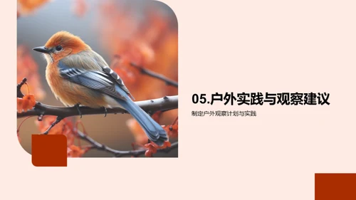 寒露季节的生态秘密