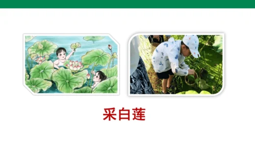 11古诗二首  池上   课件