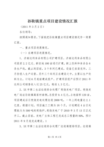 孙耿镇重点项目建设情况汇报.docx