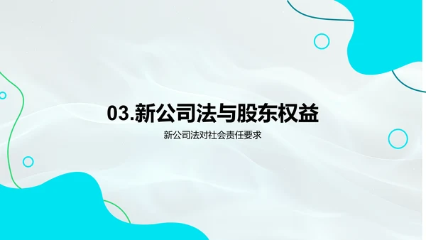 公司法解读报告