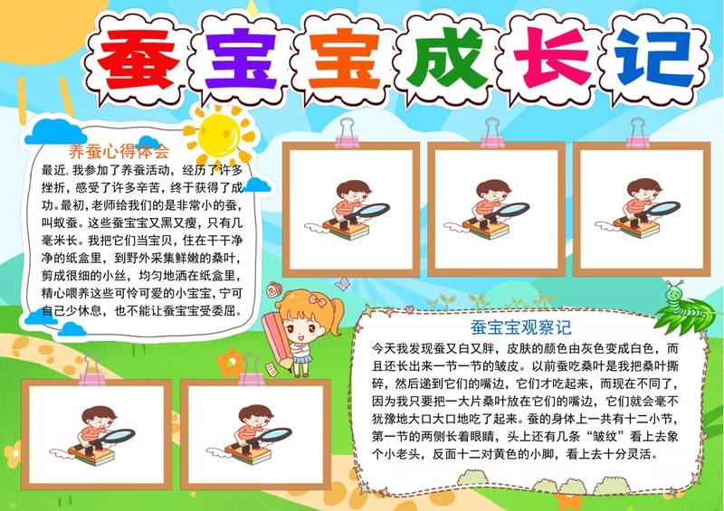 养蚕小报蚕宝宝成长记手抄报观察日记电子小报
