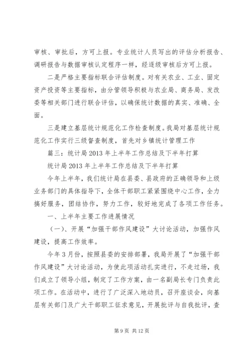 统计局上半年工作总结下半年工作安排.docx