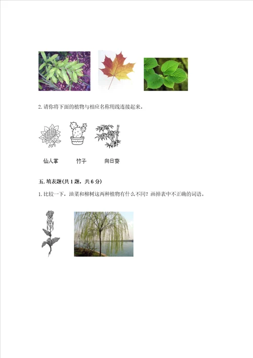 教科版科学一年级上册第一单元植物测试卷中心小学