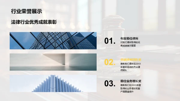 法律领域年度总结
