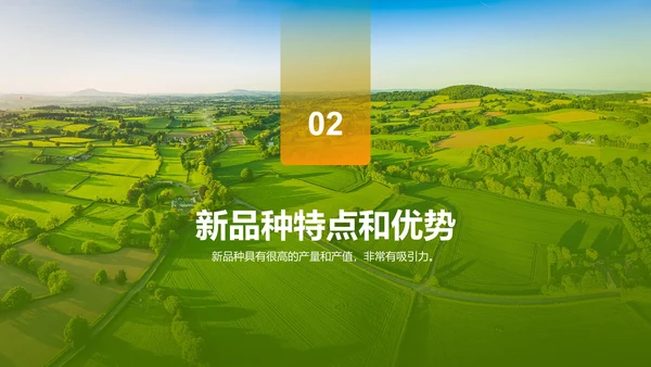 绿色现代农业新品种推广会发布会PPT模板