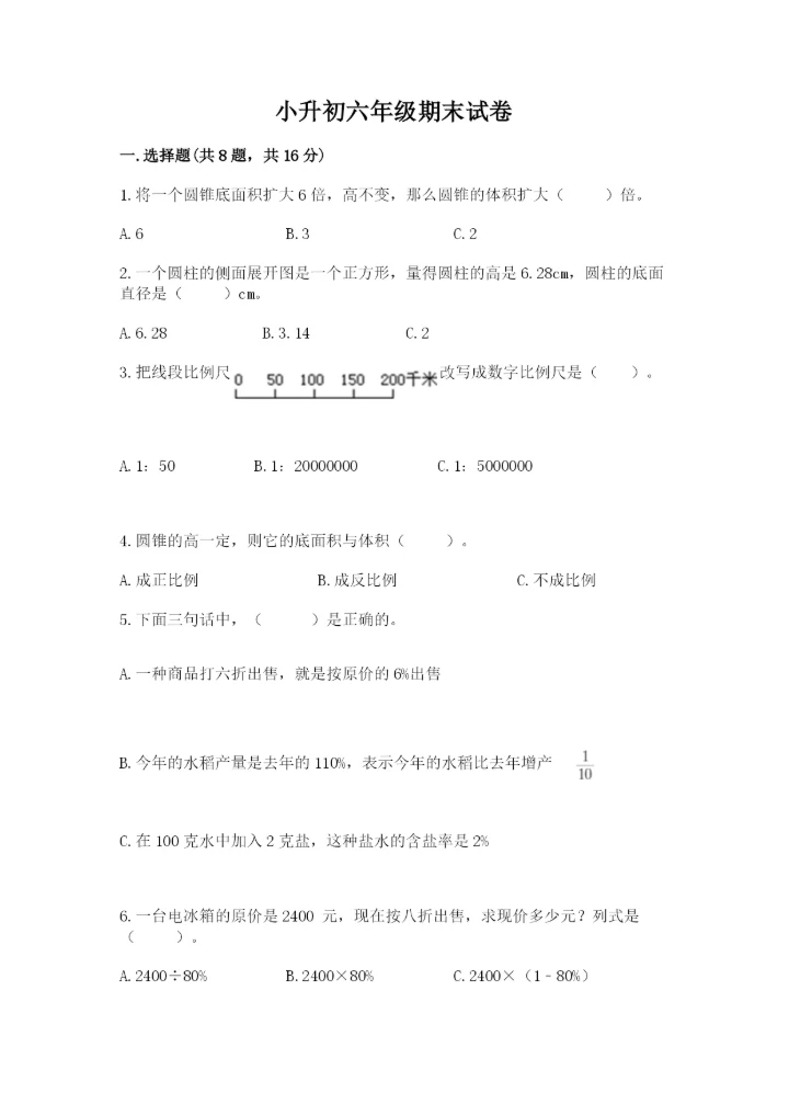 小升初六年级期末试卷（典优）.docx