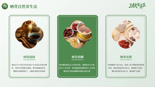 绿色古风三伏天养生健康指南PPT模板