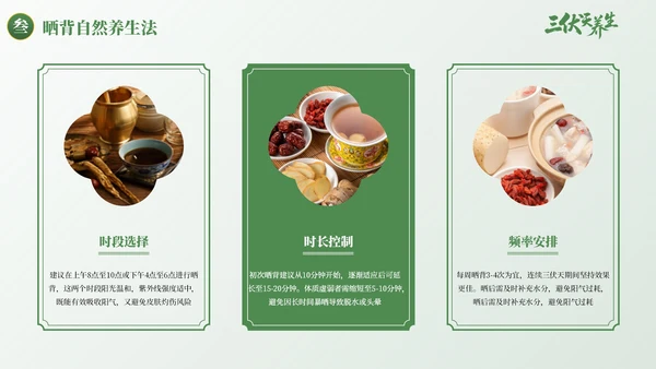 绿色古风三伏天养生健康指南PPT模板