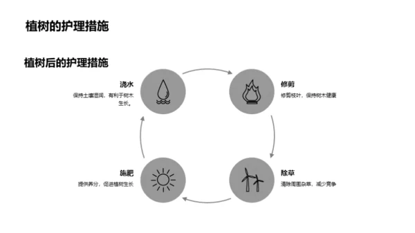 绿色行动，以树为界