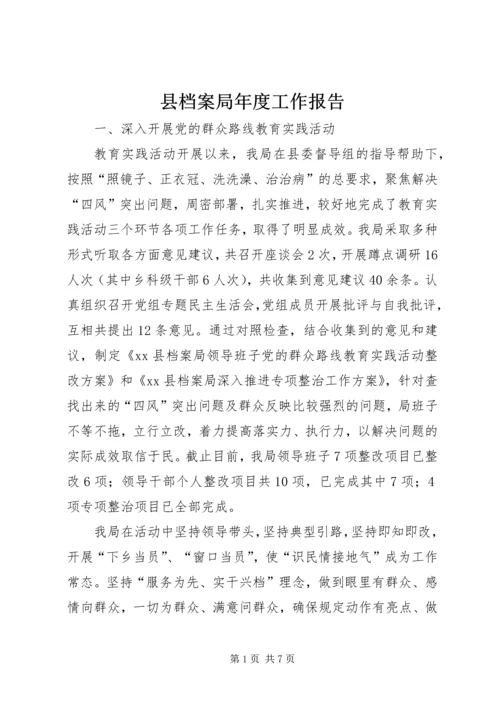 县档案局年度工作报告 (2).docx