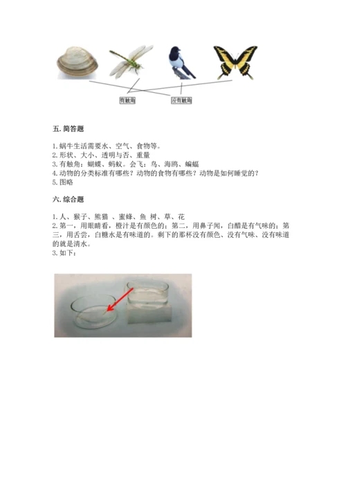 教科版一年级下册科学期末测试卷【a卷】.docx