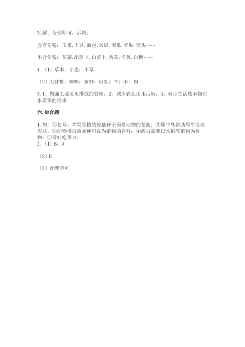 教科版六年级下册科学期末测试卷（历年真题）word版.docx