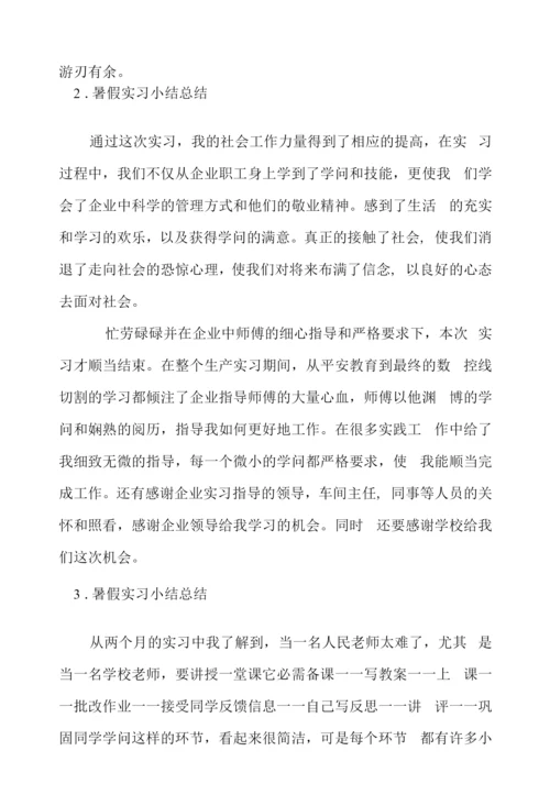 暑假实习小结总结【五篇】.docx