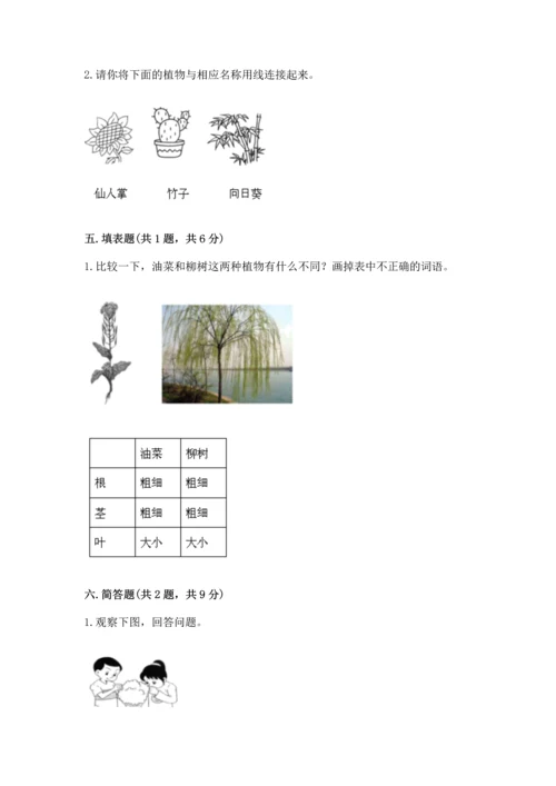 教科版科学一年级上册第一单元《植物》测试卷有答案.docx