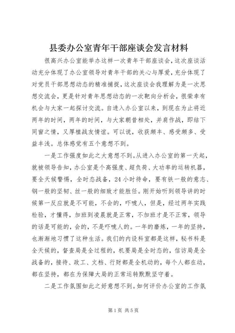 县委办公室青年干部座谈会发言材料.docx