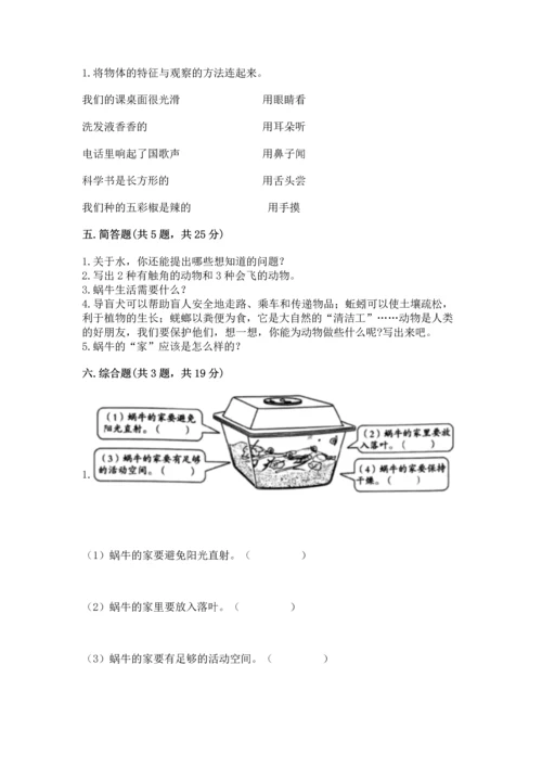 教科版一年级下册科学期末测试卷【考试直接用】.docx