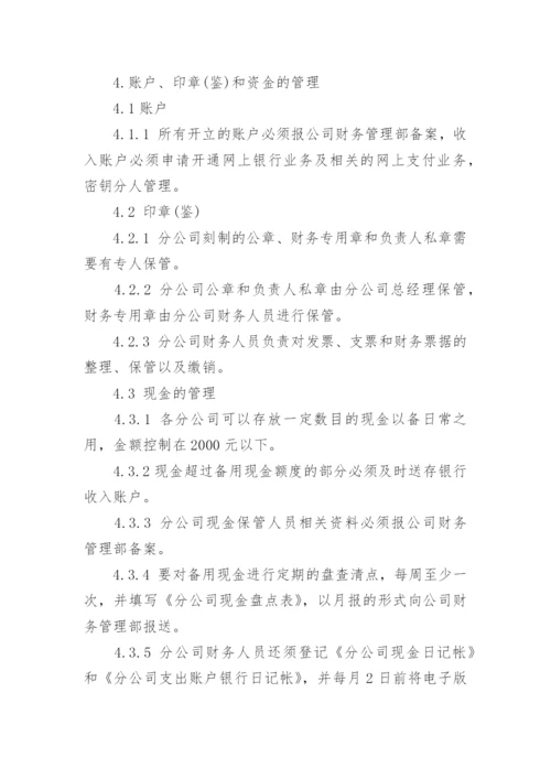 子公司财务管理规定.docx