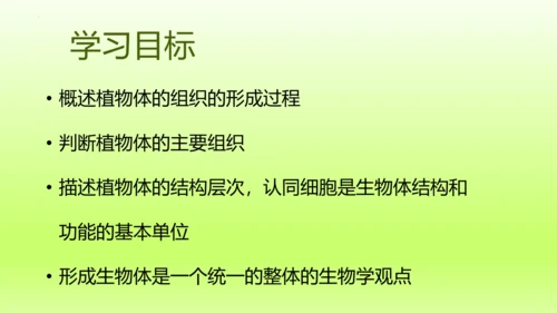 2.2.3植物体的结构层次 【说课课件】2023--2024学年人教版生物七年级上册(共42张PPT