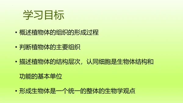 2.2.3植物体的结构层次 【说课课件】2023--2024学年人教版生物七年级上册(共42张PPT