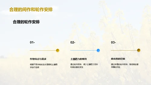 智慧农业：油料种植新篇章