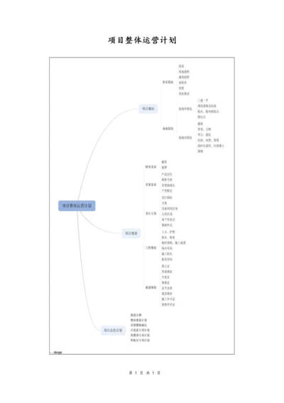 08--01-项目整体运营计划.docx