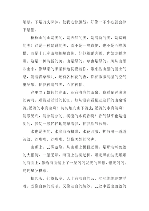 不一样的风景作文.docx