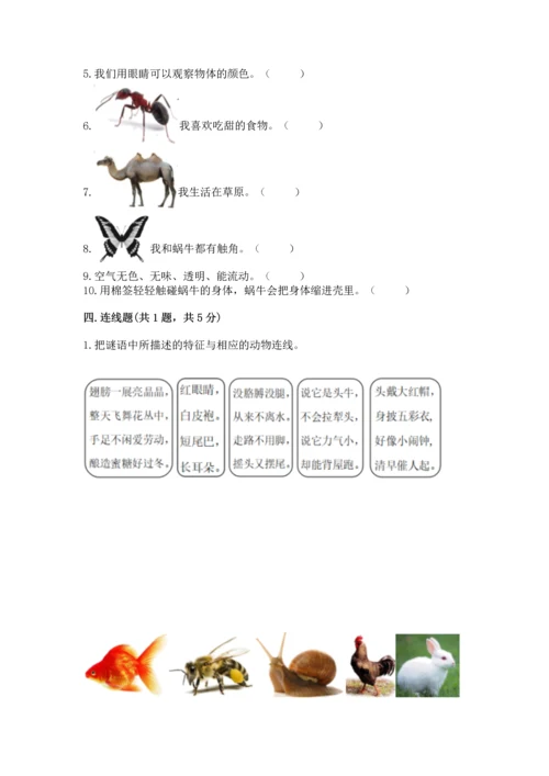 教科版一年级下册科学期末测试卷【网校专用】.docx
