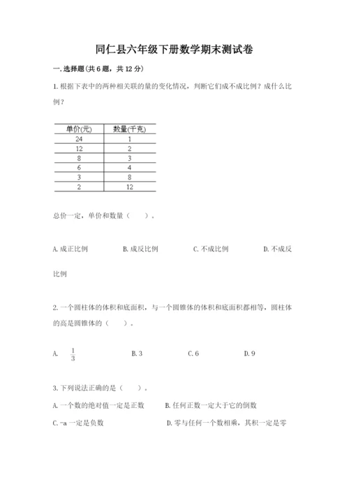 同仁县六年级下册数学期末测试卷（综合卷）.docx