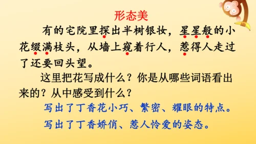 2 丁香结  课件