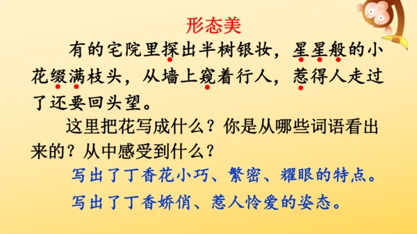 2 丁香结  课件