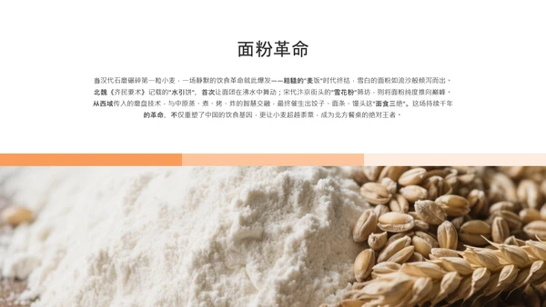 黑色橙色简约风中国面食介绍PPT模板