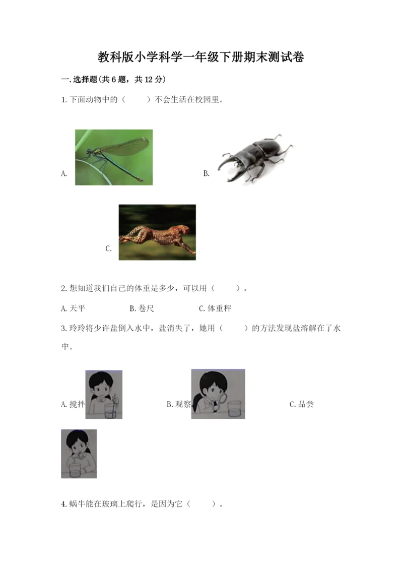 教科版小学科学一年级下册期末测试卷附参考答案【轻巧夺冠】.docx