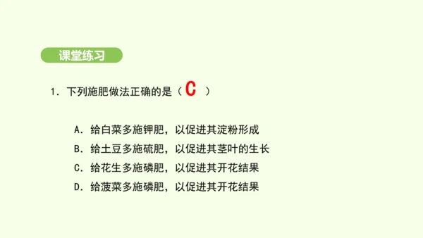 第三单元-第一章-第二节-植株的生长课件-2024-2025学年七年级生物下学期人教版(2024)(