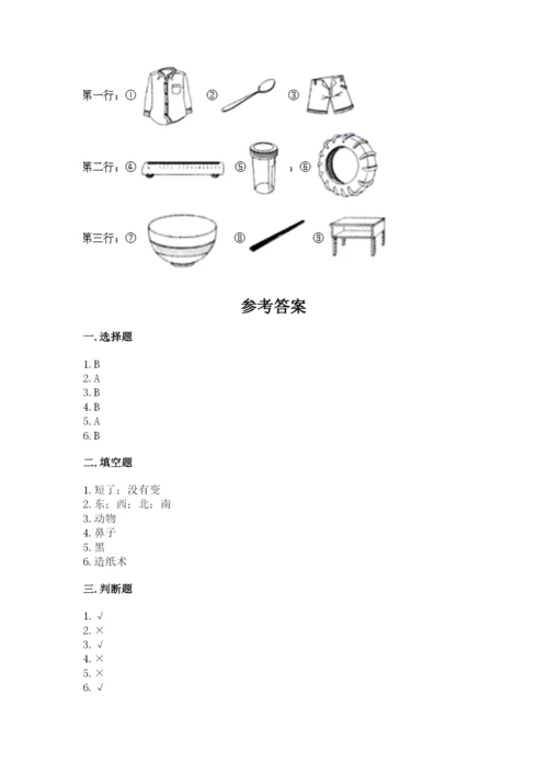 教科版二年级上册科学期末测试卷及答案【新】.docx