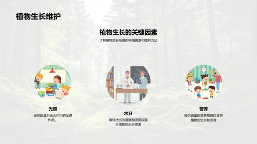树木的生态密码