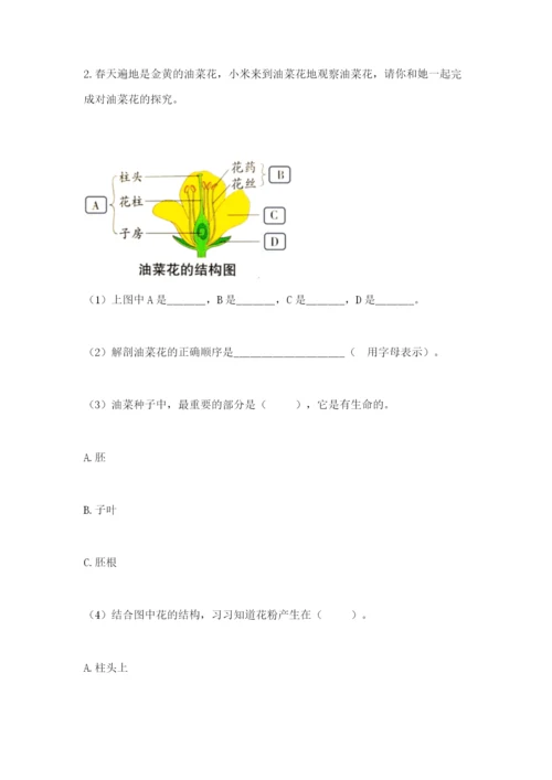 科学四年级下册第一单元《植物的生长变化》测试卷【含答案】.docx