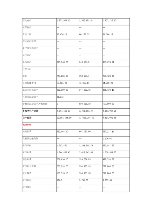 精选格力电器财务报表比较分析