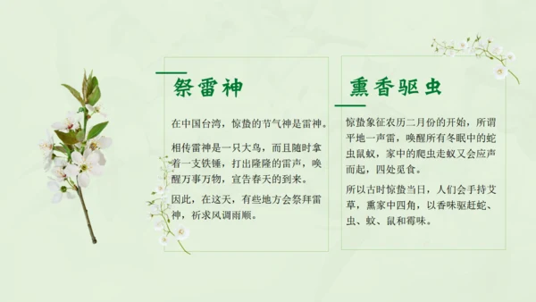 惊蛰淡绿色二十四节气实践教学课件通用PPT模板